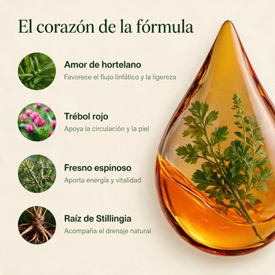 Drenaje Linfático QClear – Gotas Naturales